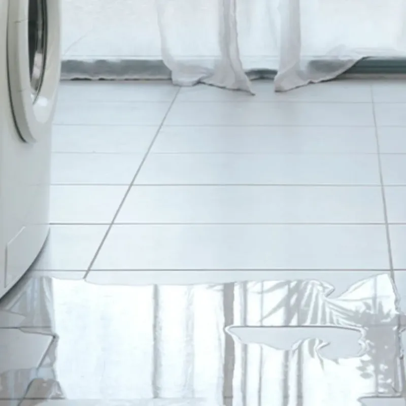 Appliance Leak Cleanup in Sanderson, TX