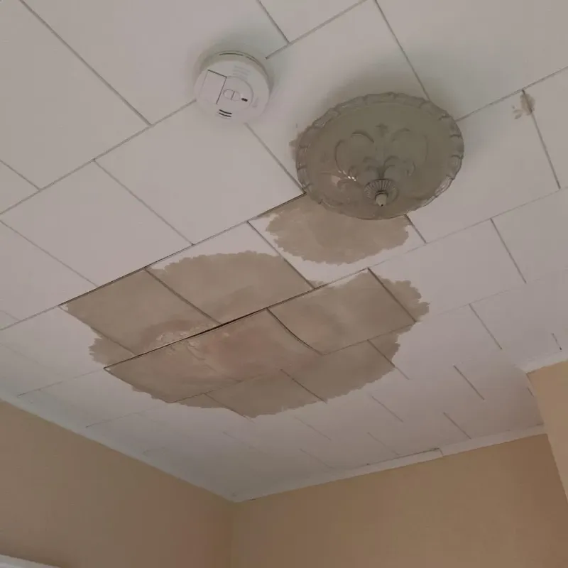 Ceiling Water Damage Repair in Sanderson, TX