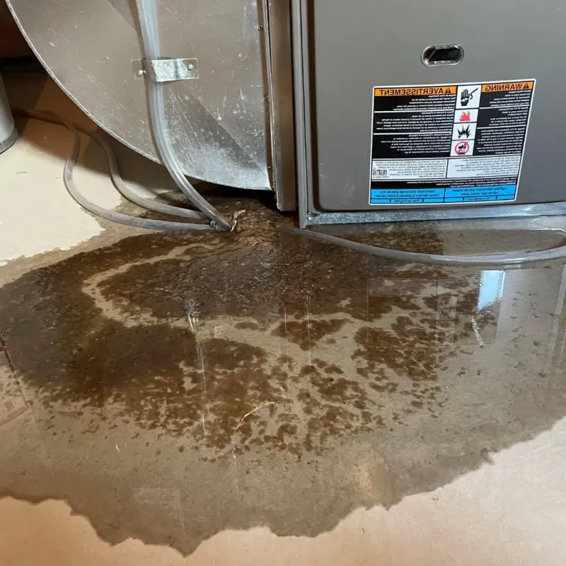 Pipe Burst and Leak Restoration in Sanderson, TX