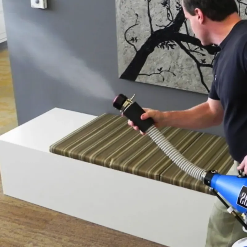 Professional Odor Removal in Sanderson, TX