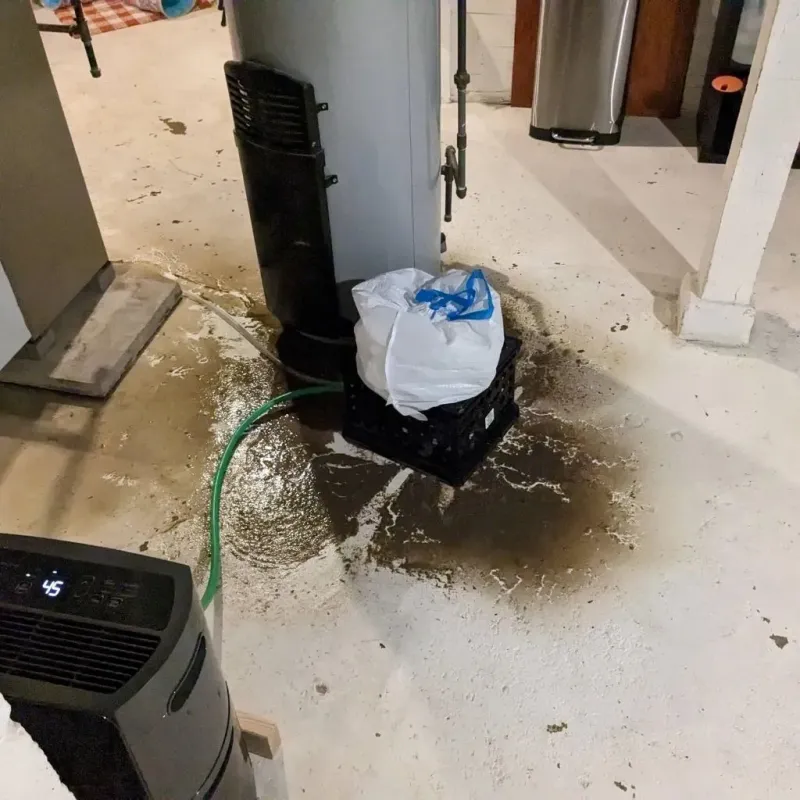 Sewage Backup Cleanup Service in Sanderson, TX